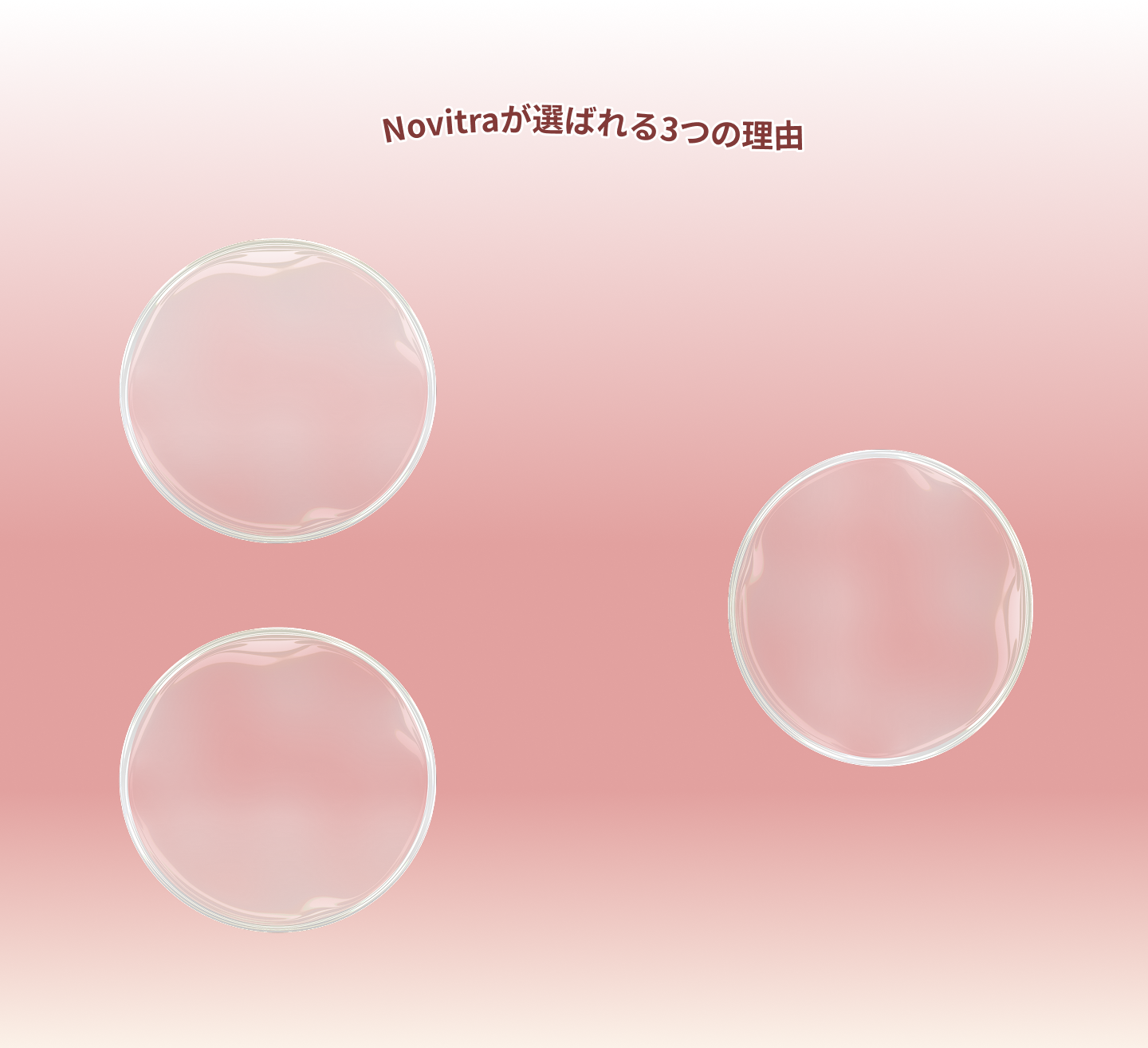 Novitraが選ばれる3つの理由